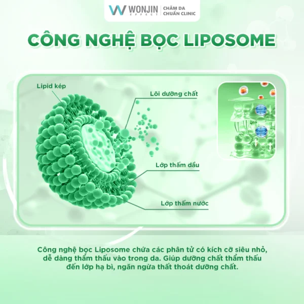 Combo 10 Mặt Nạ Phục Hồi Chuyên Sâu WonJin Effect Nourising Supplement Mask 30g/miếng [B1 - Hình ảnh 6