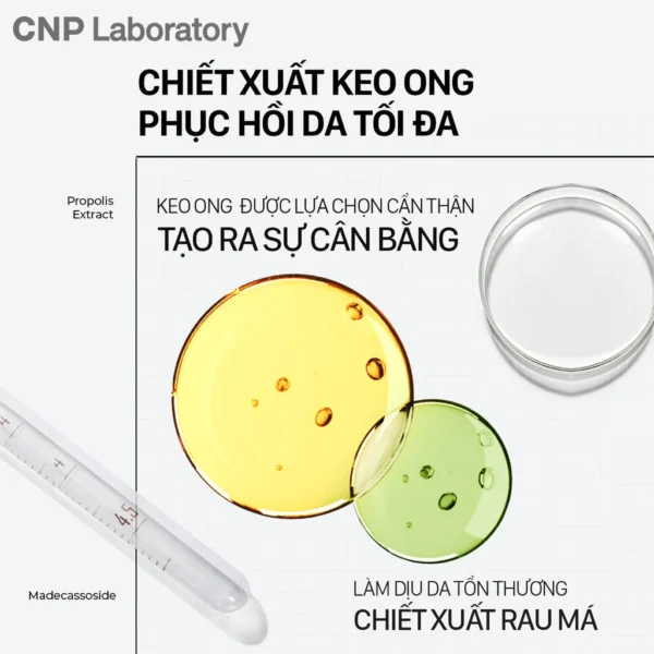 Tinh chất tái tạo phục hồi da chiết xuất keo ong CNP Propolis Energy Active Ampule - Hình ảnh 6