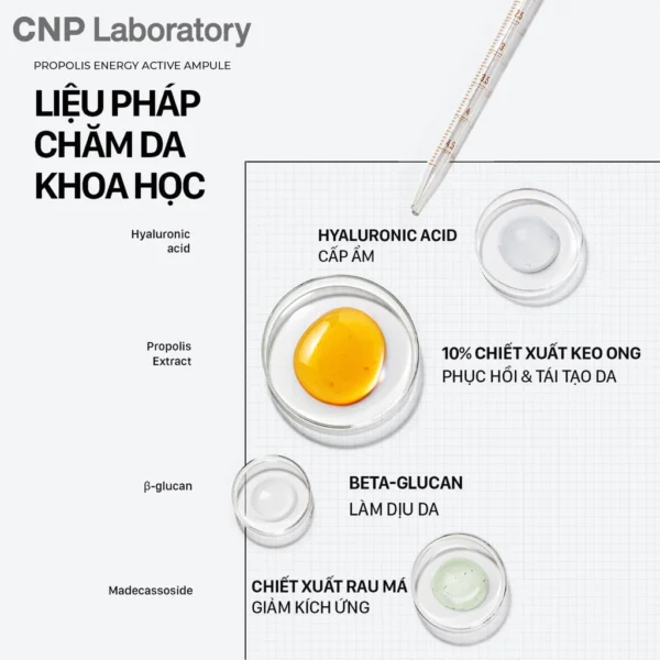 Tinh chất tái tạo phục hồi da chiết xuất keo ong CNP Propolis Energy Active Ampule - Hình ảnh 7
