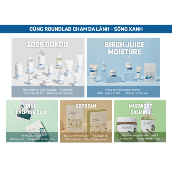 Tinh Chất Dưỡng Da Round Lab 1025 Dokdo Ampoule 45g giúp làm dịu tình trạng da nhạy cảm - Hình ảnh 8